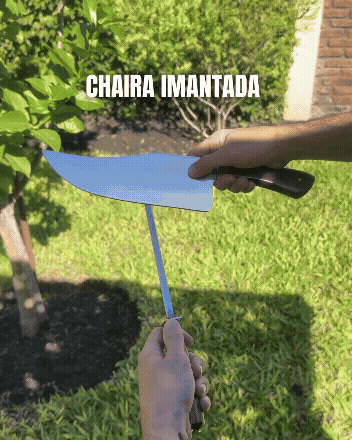 Bowie Parrillero + Chaira Filo Espartano